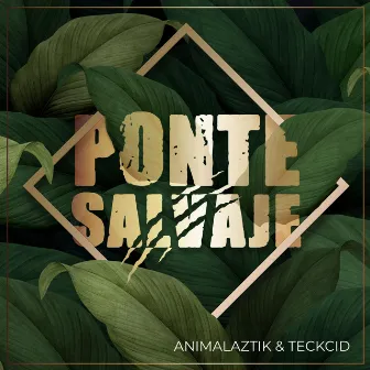 Ponte Salvaje by Teckcid