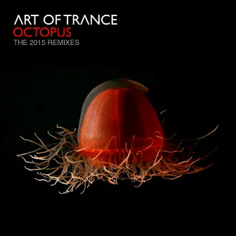 Octopus - The 2015 Remixes by Unknown Artist