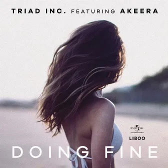 Doing Fine by TRIAD inc.