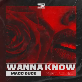 Wanna Know by Macc Duce