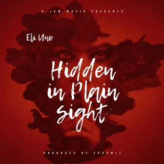 Hidden in Plain Sight by Eli Uno