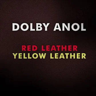 Red Leather / Yellow Leather by Dolby Anol