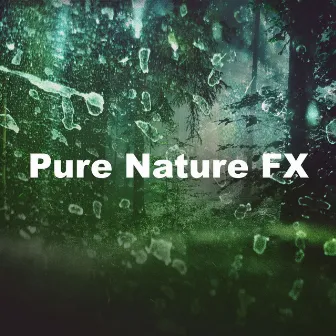 Pure Nature FX by The Nature Sound Collector