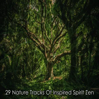 29 Nature Tracks Of Inspired Spirit Zen by Nature Sounds - Sons de la nature