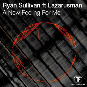 A New Feeling for Me by Ryan Sullivan