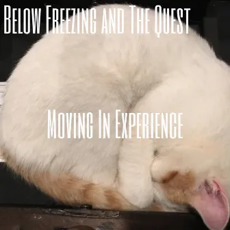 Moving In Experience by The Quest