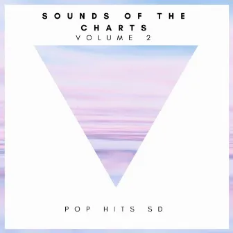 Sounds of The Charts Vol.2 by Pop Hits SD