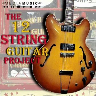 The 12-String Guitar Project by Tim Renwick