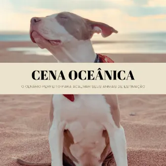 Cena Oceânica: O Cenário Perfeito Para Acalmar Seus Animais De Estimação by Meditação Experiência Musical