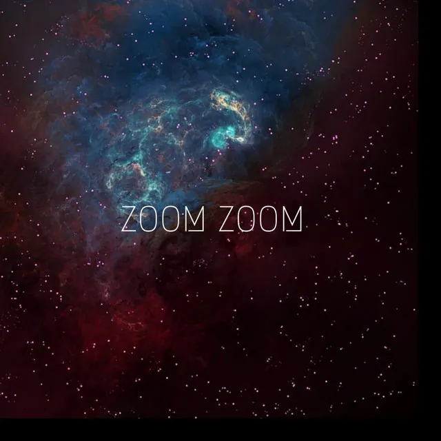 ZOOM