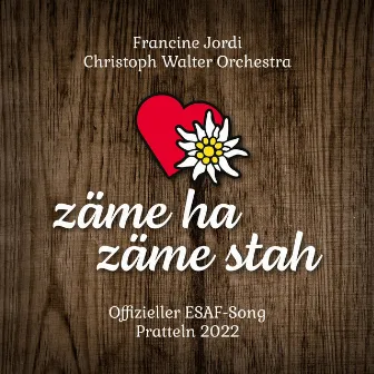 Zäme ha zäme stah (Offizieller ESAF Song Pratteln 2022) by Christoph Walter Orchestra