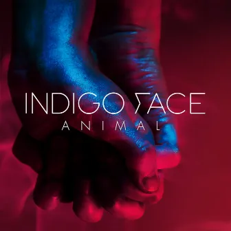 Animal by Indigo Face