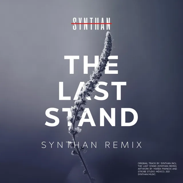 The Last Stand (Synthan Remix)