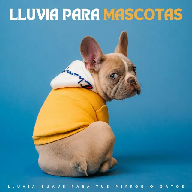 Música para mascotas