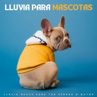 Lluvia Para Mascotas: Lluvia Suave Para Tus Perros O Gatos by Thiago Mascotas