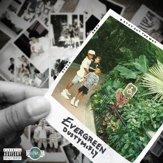 Evergreen by Dusty McFly