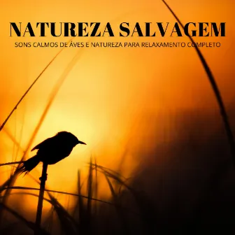 Natureza Salvagem: Sons Calmos De Áves e Natureza Para Relaxamento Completo by Música de Relaxamento No Spa