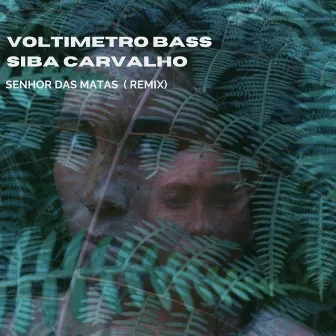 Senhor das Matas (Remix) by Voltimetro Bass