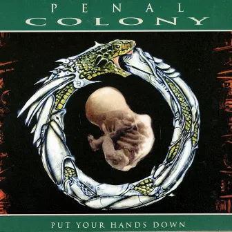 Put Your Hands Down by Penal Colony