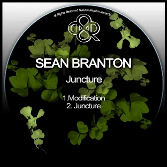 Juncture by Sean Branton