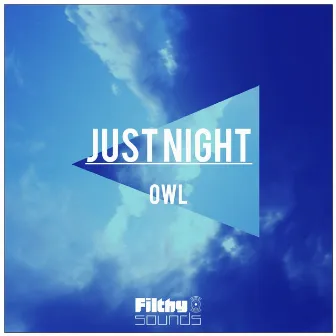 Just Night by Owl