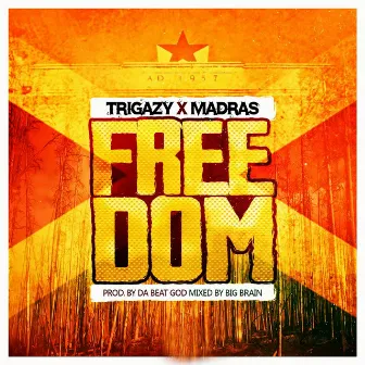 Freedom by Trigazy