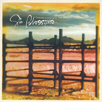 Outside Looking In: The Best Of The Gin Blossoms by Gin Blossoms