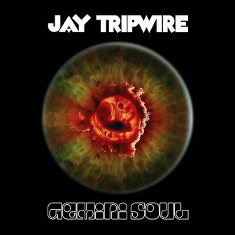 Gemini Soul by Jay Tripwire