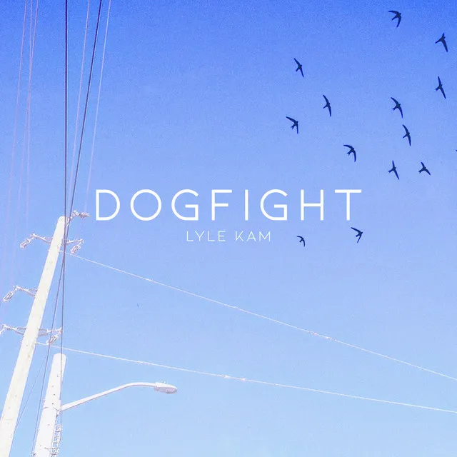 Dogfight