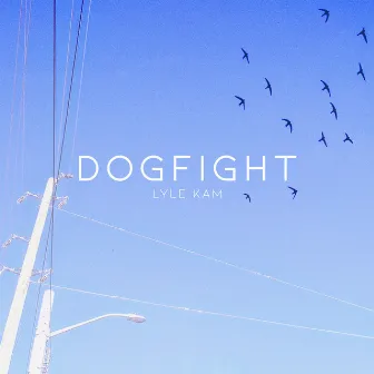 Dogfight by Lyle Kam