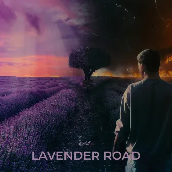 Lavender Road by Falkon