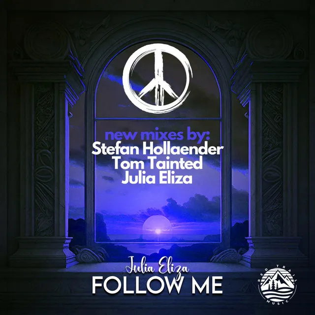 Follow Me - Stefan Hollaender Remix