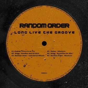 Long Live The Groove by Hyden