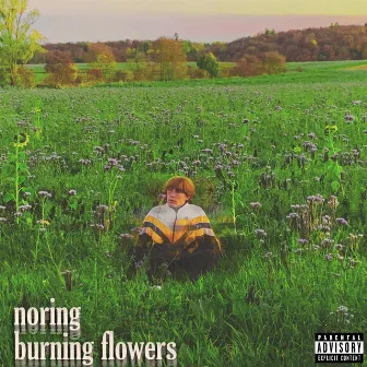 burning flowers by noring