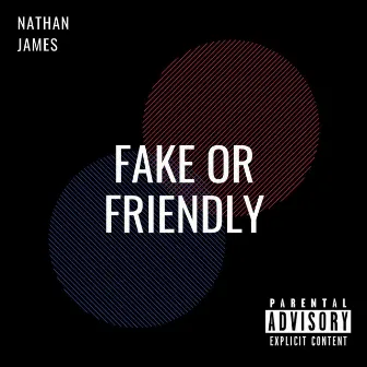 Fake or Friendly by Nathan James