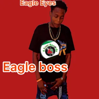 Eagle Eyes by Eagle Boss