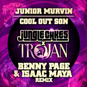 Cool Out Son by Junior Murvin