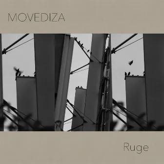 Ruge by MOVEDIZA