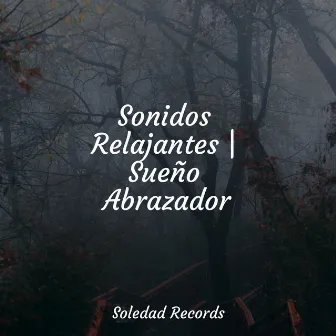 Sonidos Relajantes | Sueño Abrazador by Masajes Spa