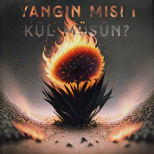 YANGIN MISIN KÜL MÜSÜN?