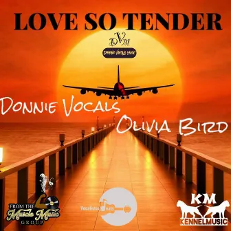 Love So Tender by Donnie Vocals