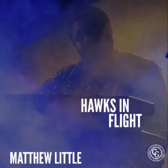 Hawks In Flight by Matthew Little