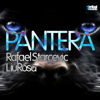 Pantera by LiuRosa