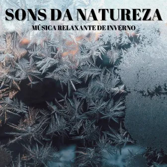 Sons Da Natureza: Música Relaxante De Inverno by Flor de Loto