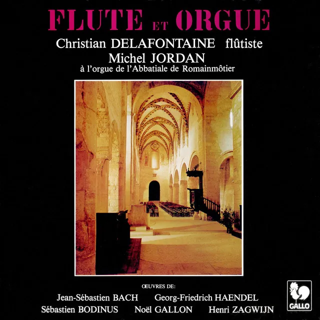 Andante in B-Flat Major for Flute and Organ