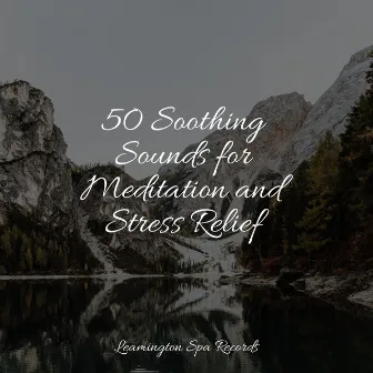 50 Soothing Sounds for Meditation and Stress Relief by Nature Sound Series