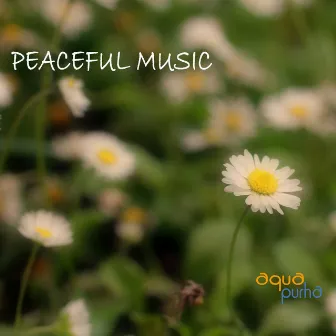 Peaceful Music - The Best Peaceful Music Collection for Relaxation,Meditation,Yoga and Tai Chi by Peaceful Music Orchestra