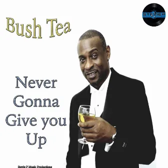 Never Gonna Give You Up by Bush Tea