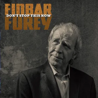 Don't Stop This Now by Finbar Furey