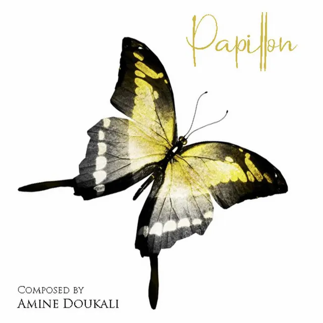 Papillon